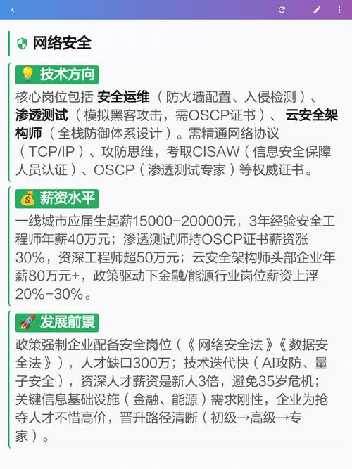 人工智能/软件开发/网络安全职业解析